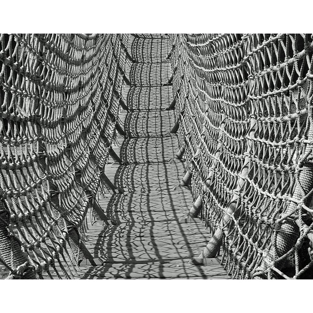Rope Bridge  11 x 14 print